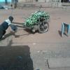 travail des enfants en côte d'ivoire